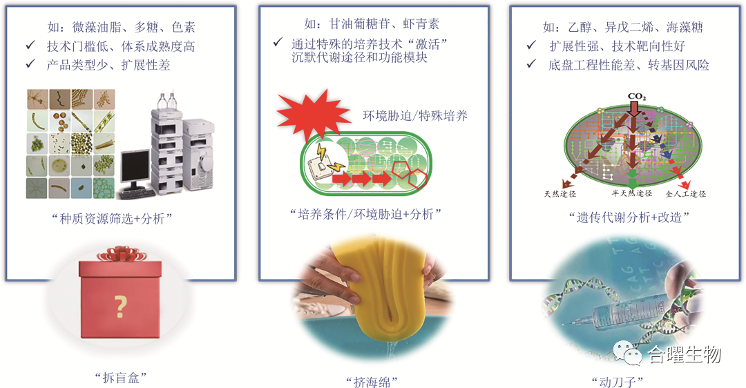 行业动态资讯汇总：光合作用碳同化的合成生物学研究进展；微藻光驱固碳合成技术的发展现状与未来展望;Neobe Therapeutics利用合成生物学来改造细菌;天麻素生物合成的全球首个商业化规模生产得以实现